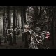 Archery Archery