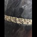 Horse Hair Hat Band
