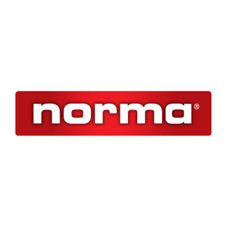 Norma .30-06 150gr BST
