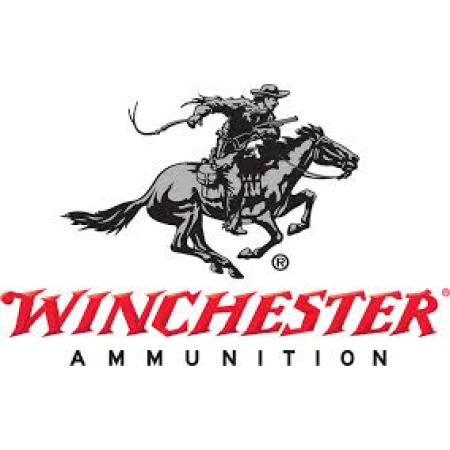 Winchester Powerpoint .22mag 40gr CP HP